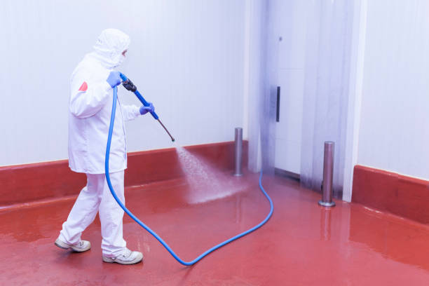 Best Spring Cleaning  in Hinesville, GA